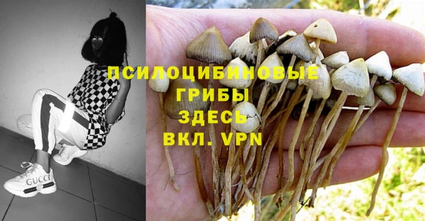 гашишное масло Белокуриха