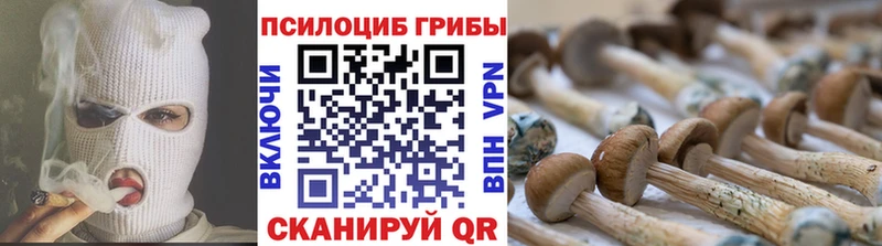 Псилоцибиновые грибы MAGIC MUSHROOMS  дарнет шоп  Вельск 